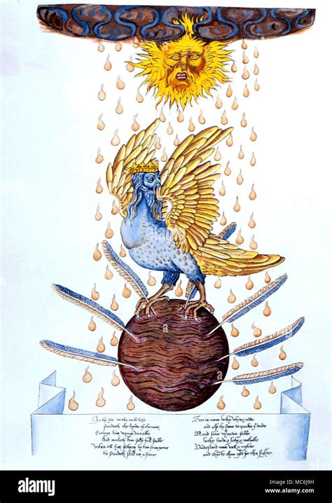 The Bird of Hermes 